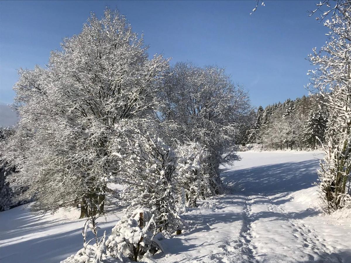 Villa Holgenbach - Penthouse- Und Ferienwohnung Im Nationalpark Eifel Schleiden Luaran gambar