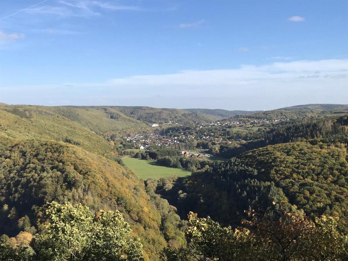 Villa Holgenbach - Penthouse- Und Ferienwohnung Im Nationalpark Eifel Schleiden Luaran gambar