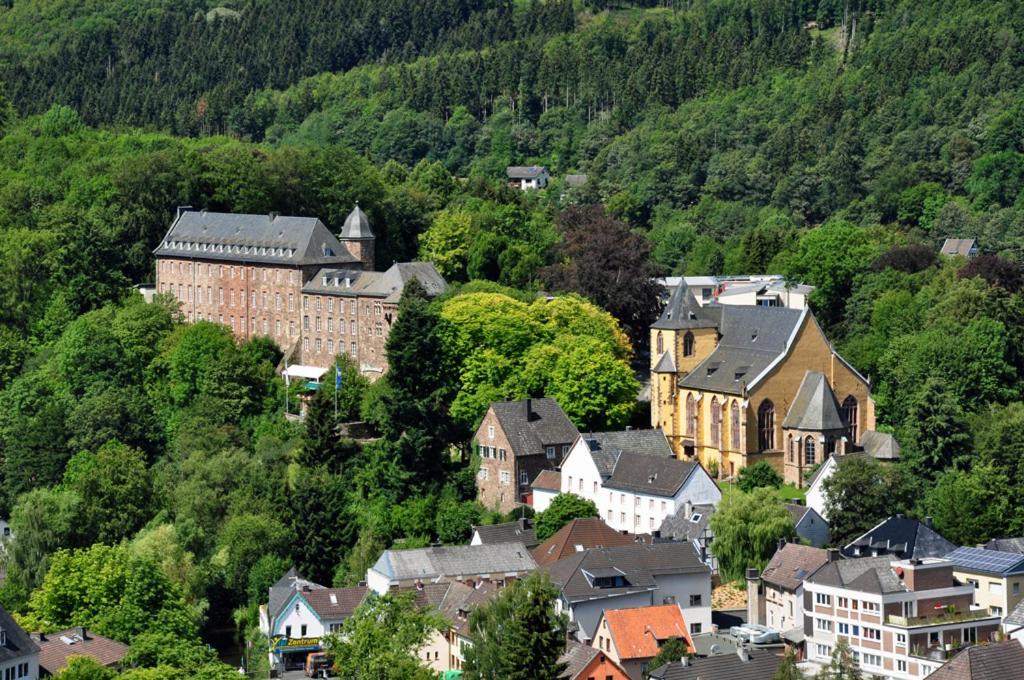 Villa Holgenbach - Penthouse- Und Ferienwohnung Im Nationalpark Eifel Schleiden Luaran gambar