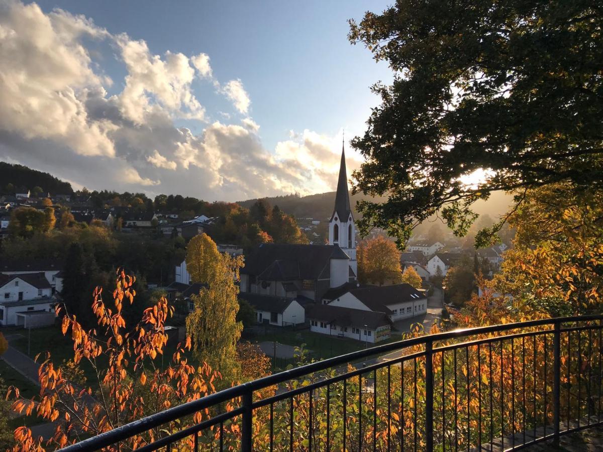 Villa Holgenbach - Penthouse- Und Ferienwohnung Im Nationalpark Eifel Schleiden Luaran gambar