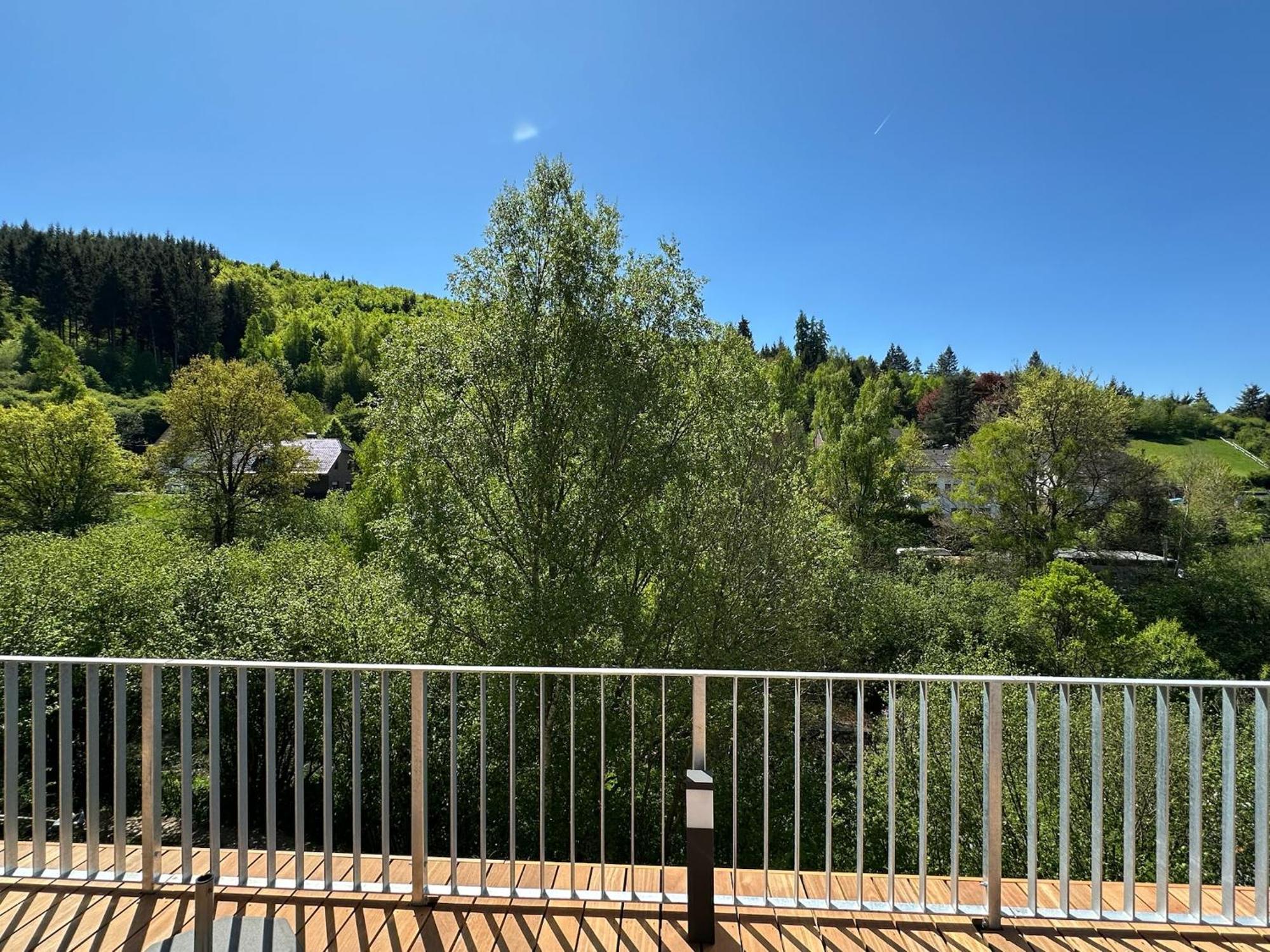 Villa Holgenbach - Penthouse- Und Ferienwohnung Im Nationalpark Eifel Schleiden Luaran gambar
